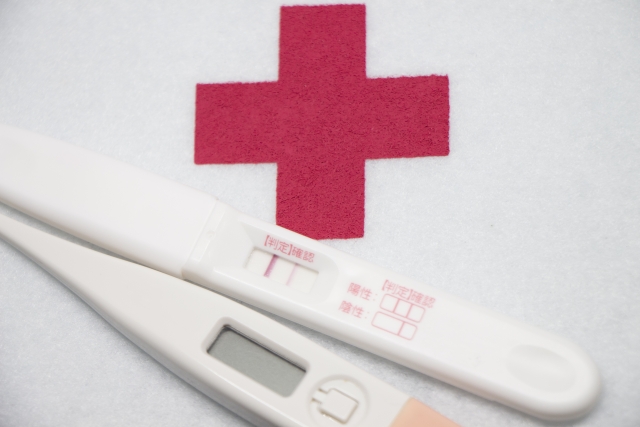 妊娠検査薬陽性で病院はいつ行く 診察の費用や夫の付き添いは 主婦の生活ブログ